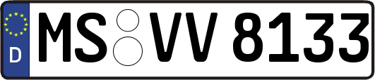 MS-VV8133