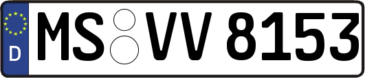 MS-VV8153