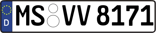 MS-VV8171