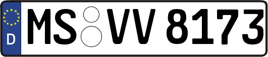 MS-VV8173