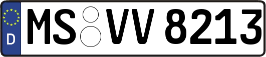 MS-VV8213