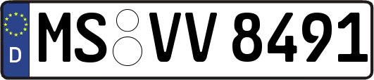 MS-VV8491