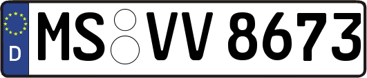 MS-VV8673