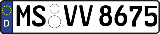 MS-VV8675