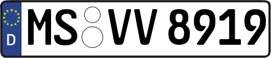 MS-VV8919