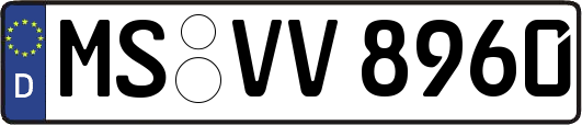MS-VV8960