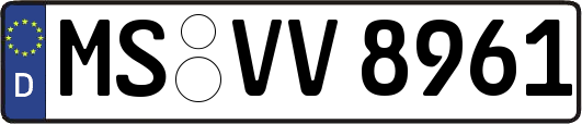 MS-VV8961