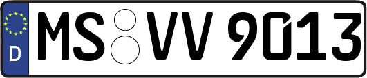 MS-VV9013