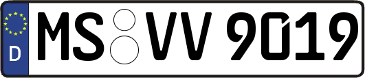 MS-VV9019