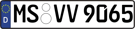 MS-VV9065