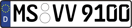 MS-VV9100