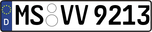 MS-VV9213