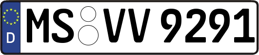 MS-VV9291