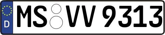 MS-VV9313