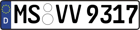 MS-VV9317