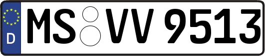 MS-VV9513