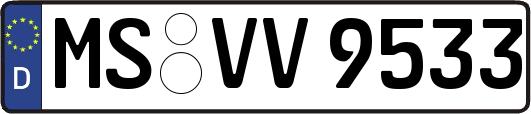 MS-VV9533