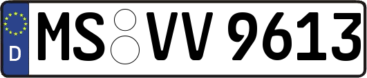 MS-VV9613