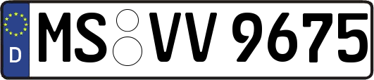 MS-VV9675