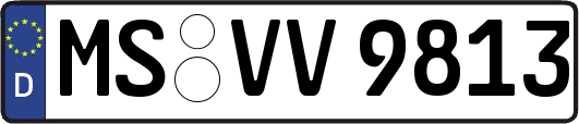 MS-VV9813
