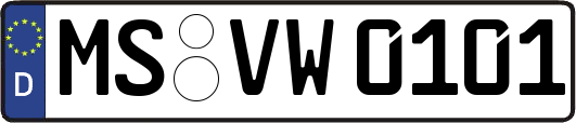 MS-VW0101