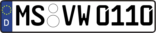 MS-VW0110