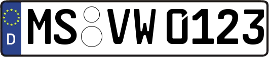 MS-VW0123