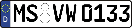 MS-VW0133