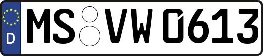 MS-VW0613