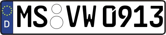 MS-VW0913