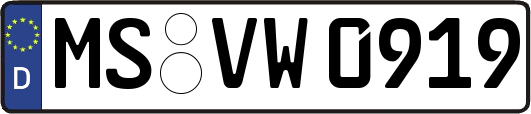 MS-VW0919