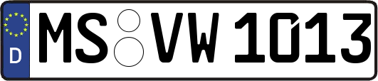 MS-VW1013