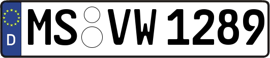 MS-VW1289