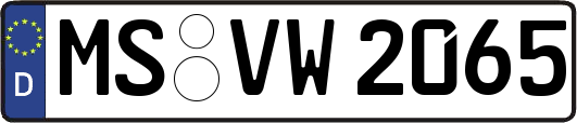 MS-VW2065