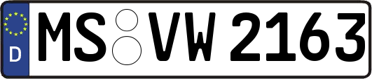 MS-VW2163