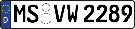 MS-VW2289