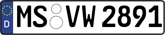 MS-VW2891