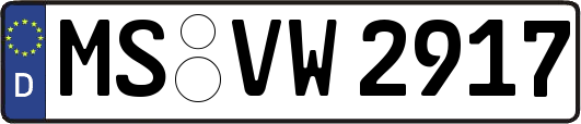 MS-VW2917