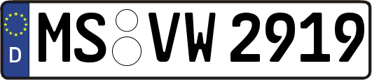 MS-VW2919