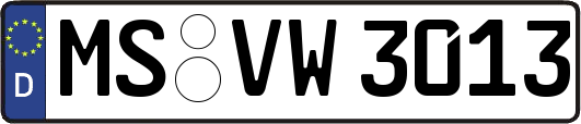 MS-VW3013