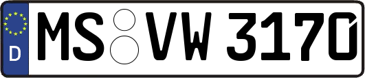 MS-VW3170