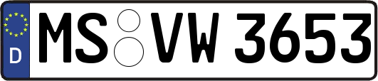 MS-VW3653