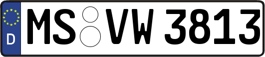 MS-VW3813
