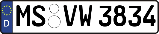 MS-VW3834