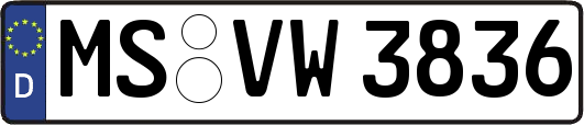 MS-VW3836