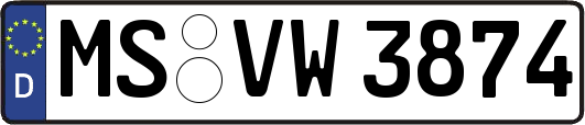 MS-VW3874