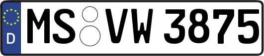MS-VW3875