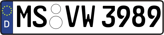 MS-VW3989