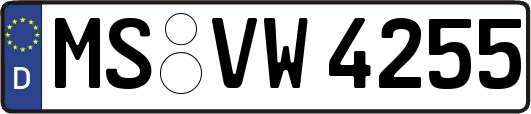 MS-VW4255