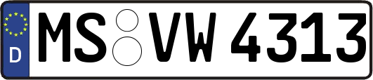 MS-VW4313